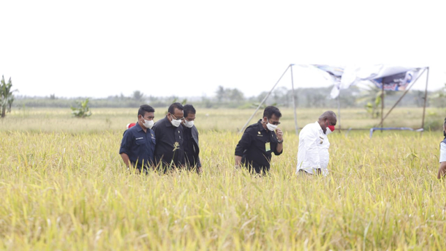 Jalan Usaha Tani Kementan Tingkatkan Produktivitas Pertanian Tabanan (284729)