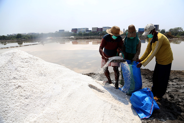 Tambak garam di kecamatan Asemrowo, Surabaya. Foto-foto: Dok. Basra