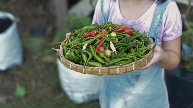 Makanan yang Bisa Memicu Kontraksi, Ada Enggak Sih? (90742)