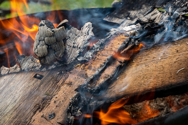 Salah satu bentuk energi adalah energi kimia dalam proses pembakaran kayu. Foto: Pixabay