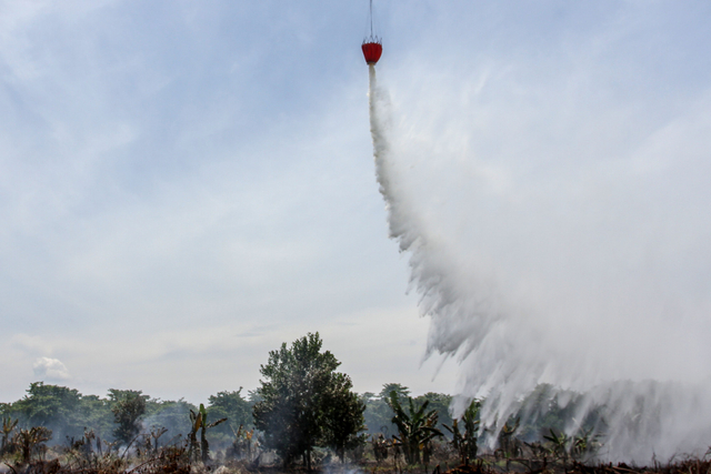 Ilustrasi water bombing Foto: Rony Muharrman/Antara Foto