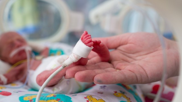 Terinfeksi virus CMV saat hamil, bayi meninggal setelah 10 hari dilahirkan. Foto: Shutter Stock
