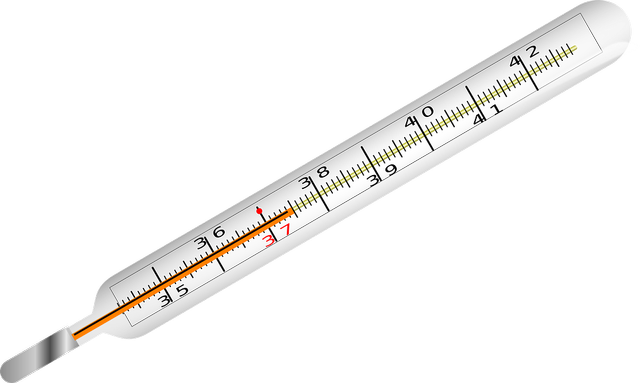 Termometer adalah alat yang digunakan untuk mengukur suhu. Foto: Pixabay