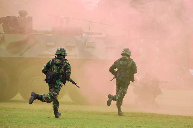 Tentara Nasional Indonesia, Sumber: Flickr