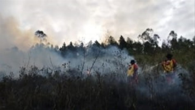 15 Hektar Lahan Hutan Di Kawasan Danau Toba Terbakar | Kumparan.com