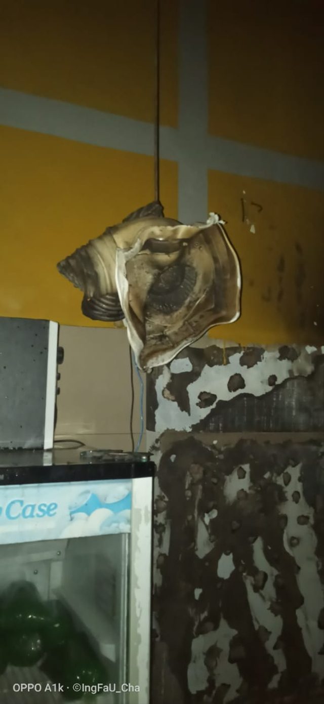 Diduga Selang Gas Bocor, Dapur Gerai Bakso Sony Natar Lampung Selatan Terbakar (2)