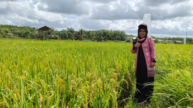 Anggota DPRD Kotawaringin Barat dari Fraksi Gerindra, Sri Lestari saat meninjau sektor pertanian di Kecamatan Pangkalan Banteng. Foto: IST/InfoPBUN