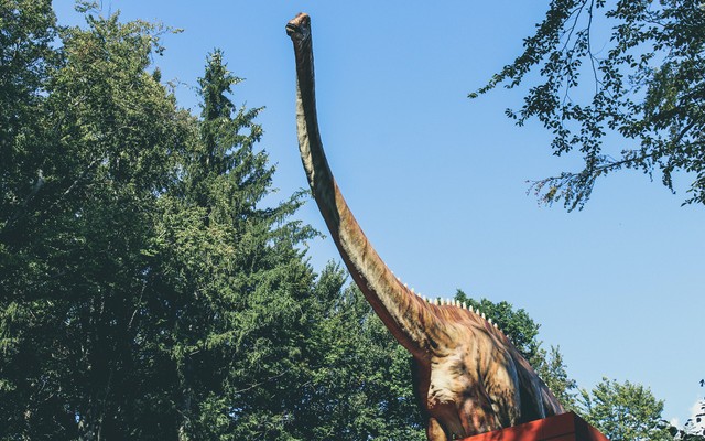 Wahana jatim park 2, Foto : Creative Vix /Pexels