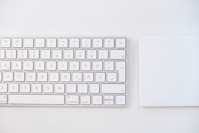 Ilustrasi cara mengatasi Word tidak bisa mengetik. Foto: Moritz Kindler/unsplash