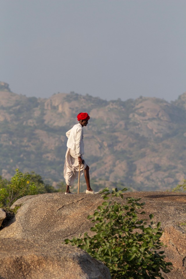 Ilustrasi penduduk Desa Bera di India, desa yang penduduknya hidup berdampingan dengan leopard Foto: Vickey Chauhan/Shutterstock