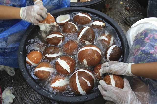 Pekerja mencuci daging buah kelapa sebelum diolah menjadi minyak kelapa murni. Foto: Syifa Yulinnas/ANTARA FOTO