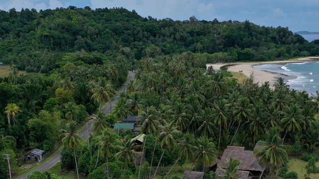 Foto Udara hamparan pohon kelapa di peisir pantai Desa Nancala, Teupah Barat, Simeulue, Aceh. Foto: Syifa Yulinnas/ANTARA FOTO