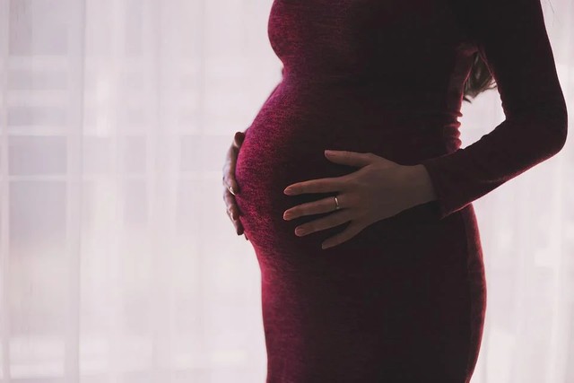 https://pixabay.com/users/pexels-2286921/ - mengapa ibu yang sedang hamil tidak mengalami menstruasi
