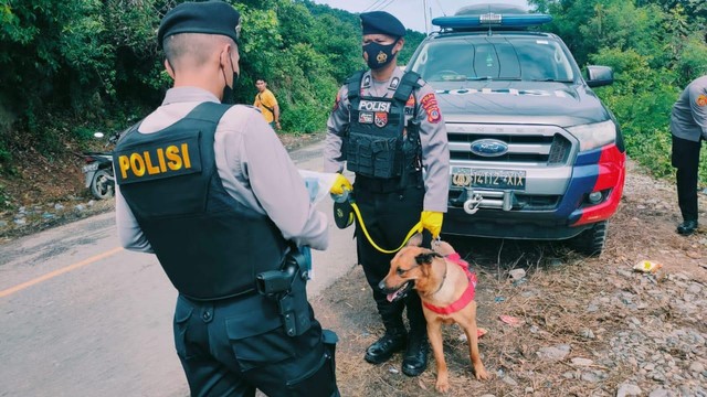 Seekor anjing pelacak K9 yang dikerahkan Polisi untuk mencari dr Faisal. Foto: Istimewa