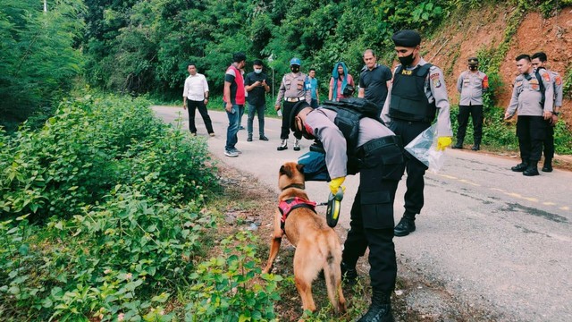Anjing Pelacak untuk Mencari dr Faisal Pernah Tugas di Bencana Palu (125039)