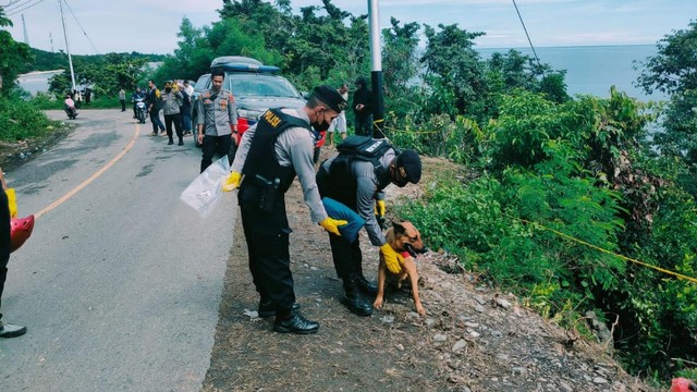 Anjing Pelacak untuk Mencari dr Faisal Pernah Tugas di Bencana Palu (125040)