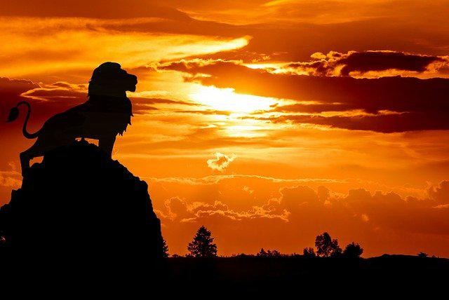 Arti Hakuna Matata yang Jadi Soundtrack Film The Lion King (1994) (92605)