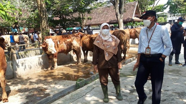 Pemkab Sleman meninjau hewan ternak di wilayahnya, mengantisipasi Penyakit Mulut dan Kuku (PMK). Foto: Pemkab Sleman