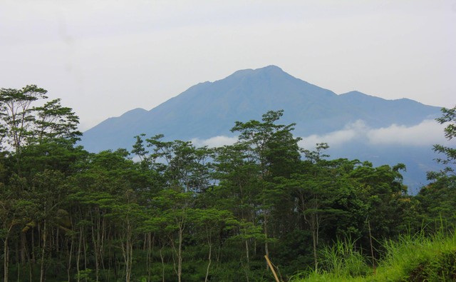 Tempat Wisata Majalengka Terbaru, Foto: pexels/Ryoka