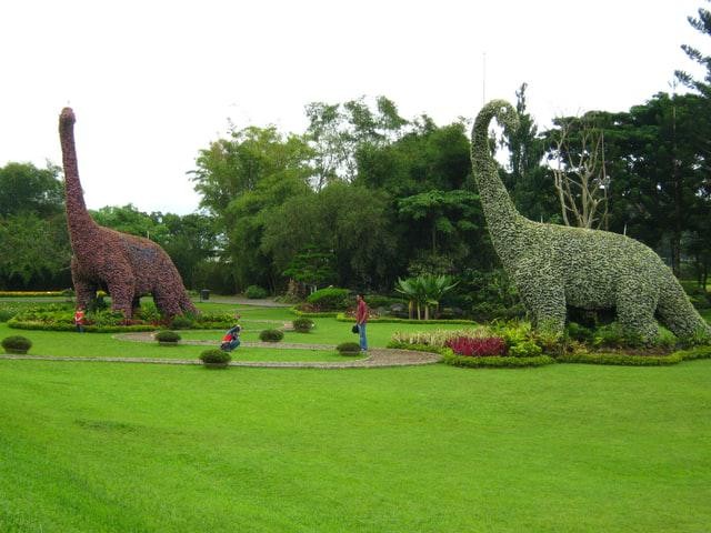 Tiket Masuk Taman Bunga Nusantara dan Jam Bukanya (116808)