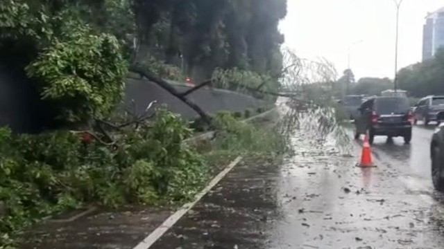 Pohon tumbang menutupi ruas jalan tol JORR di KM 26, Minggu (15/5/2022).  Foto: TMC Polda Metro