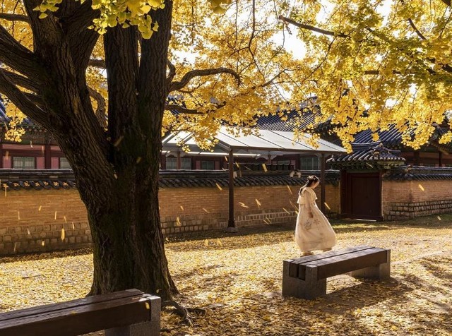 sumber gambar: https://pixabay.com/id/photos/istana-gyeongbok-wanita-musim-gugur-5771324/
