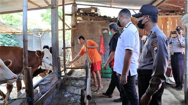 Satgas Pangan Polresta Solo mengecek peternakan sapi di Kampung Mertoyudan, Kecamatan Jebres, Solo, Senin (16/05/2022). FOTO: Agung Santoso