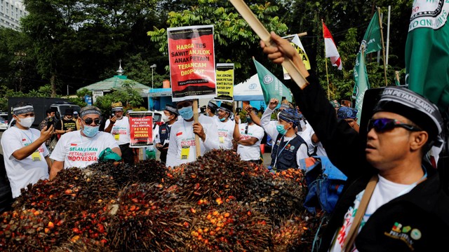 Petani kelapa sawit demo menuntut pemerintah untuk mengakhiri larangan ekspor minyak sawit, di luar kantor Kementerian Koordinator Bidang Perekonomian, di Jakarta, Selasa (17/5/2022). Foto: Willy Kurniawan/REUTERS
