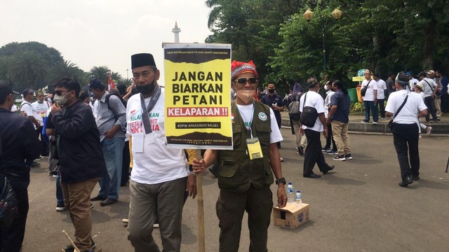 Massa Aksi Keprihatinan Petani Sawit Indonesia yang berkumpul di Patung Kuda, Jakarta Pusat, Selasa (17/5/2022). Foto: Galang/kumparan