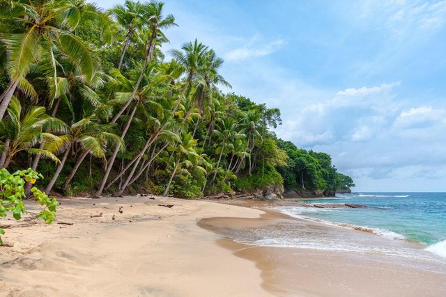 Tiket Masuk Pantai Surumanis, Foto: unsplash/Rowan Heuvel