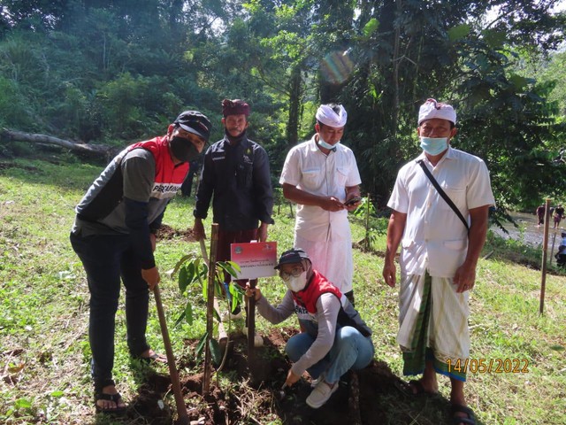 PT Pertamina Patra Niaga Regional Jatimbalinus melalui DPPU Ngurah Rai tanam 500 pohon (14/05) dalam upacara Wana Kerthi - IST