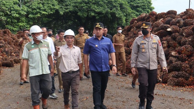 Bupati Dharmasraya Sutan Riska Tuanku Kerajaan melakukan inspeksi mendadak (Sidak) ke sejumlah Pabrik Kelapa Sawit (PKS) di wilayah Dharmasraya, Sumatera Barat, Selasa (17/5/2022). Foto: Pemkab Dharmasraya