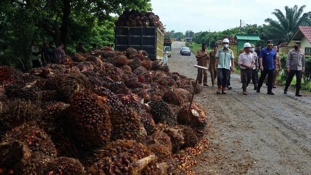 Bupati Dharmasraya Sutan Riska Tuanku Kerajaan saat mendantangi salah satu perusahaan kelapa sawit di Dharmaraya, Selasa 17 Mei 2022. Foto: dok Humas Pemkab
