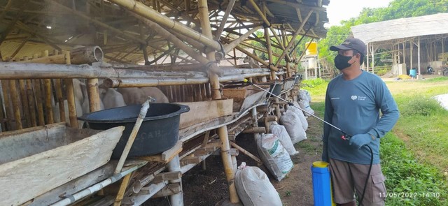 Rumah Zakat Lakukan Persiapan Dalam Mengatasi Penyakit Hewan Qurban ...