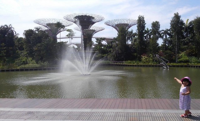 Garden by The Bay merupakan salah satu atraksi outdoor di Singapura yang aman dikunjungi selama pandemic Covid-19. (Dok. pribadi)