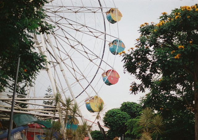 Tempat Wisata di Batu yang Gratis, Foto: Unsplash/Imanuel Reza Setyo