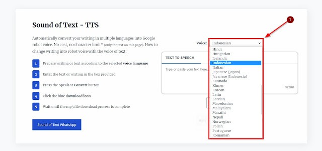 Ilustrasi membuat suara Google Translate. Foto: Voice of Text