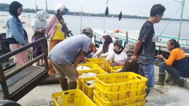 Hasil tangkapan nelayan saat tiba di Pelabuhan Pendaratan Ikan (PPI) Kumai. Foto: IST/InfoPBUN