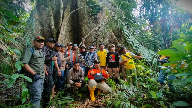 Kawasan Hutan Nantu banyak ditumbuhi pohon-pohon raksasa berbagai jenis. Foto: Dok istimewa