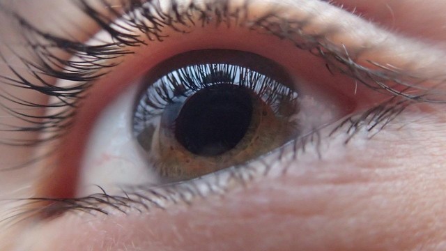 Gambar oleh Tobias Dahlberg dari Pixabay