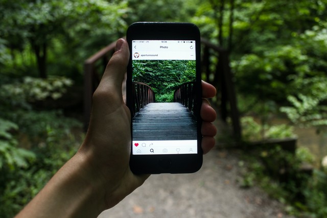 Cara Mengajukan Banding Instagram dengan Mudah (114366)
