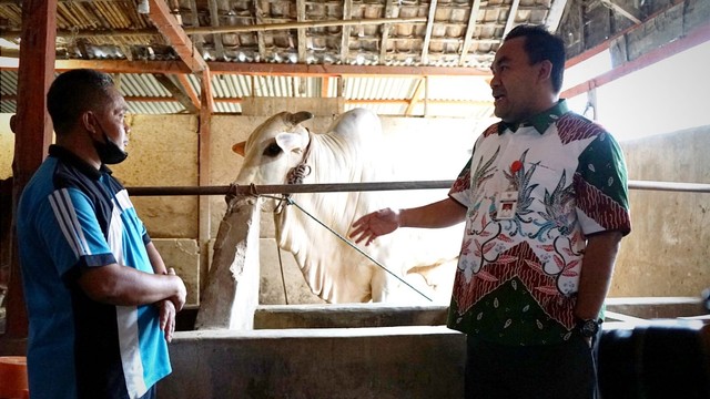 Bupati Blora Arief Rohman, saat saat meninjau peternakan sapi di Desa Palon, Kecamatan Jepon, Kabupaten Blora. (foto: dok istimewa)