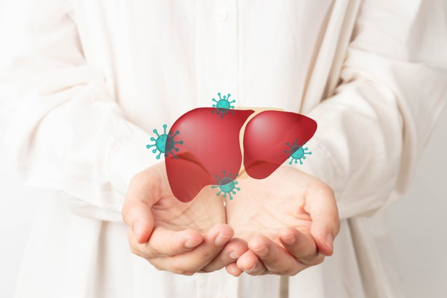 Ilustrasi Hepatitis. Foto: Shutterstock