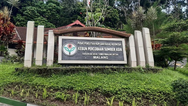 Cikal Bakal Kopi Robusta di Indonesia Berasal dari Desa Harjokuncaran, Malang (68768)