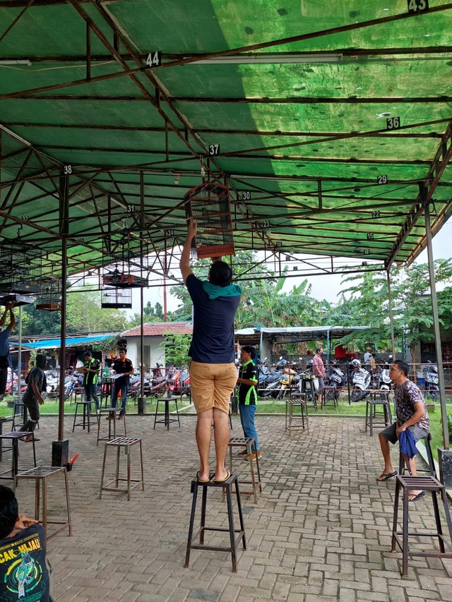 Suasana perlombaan kicau burung yang diikuti Dul Joni dan pehobi burung kicau lainnya. Foto : Dokumentasi Pribadi