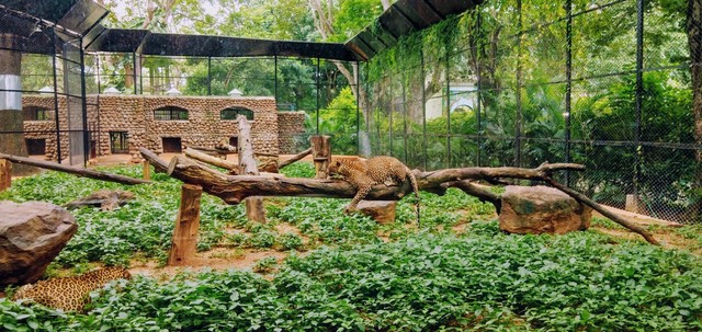 Harga Tiket Masuk Kebun Binatang Garut 2022, Foto: Unplash/Venkat Sudheer Reddy