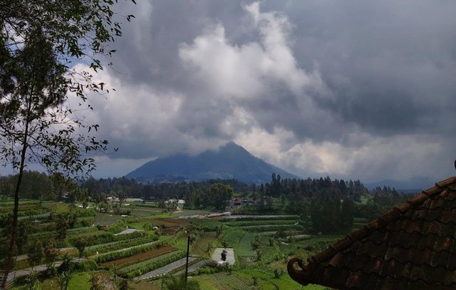 Pemandangan Gunung Merbabu dilihat dari tempat wisata Embun Merbabu (Dok. Pirbadi)