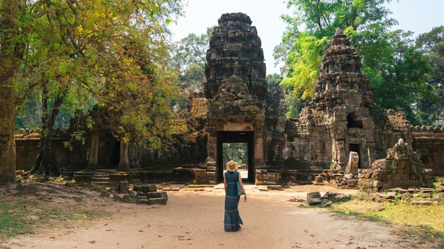 Kerap Diambil Cuma Buat Foto, Kamboja Larang Turis Petik Tanaman Penis (373017)