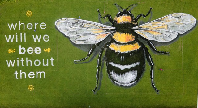 Mural lebah sepanjang 60 meter yang dilukis oleh seniman dari Sand In Your Eye terlihat di apangan bermain untuk menandai Hari Lebah Sedunia di dekat Jembatan Hebden, Inggris. Foto: Phil Noble/REUTERS