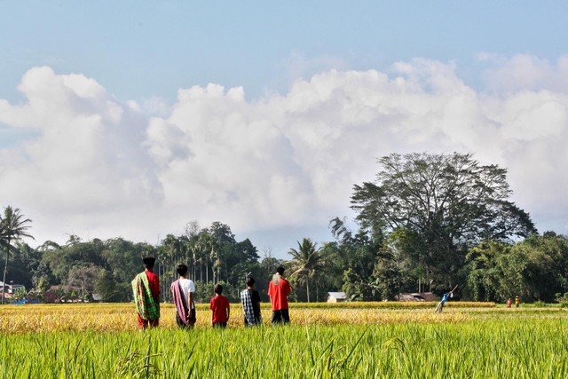 Petani (sumber: pixabay.com)